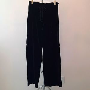 NWT Velvet Pants
